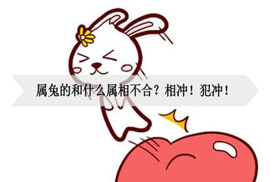 生活中的生肖兔听到什么会很冲动