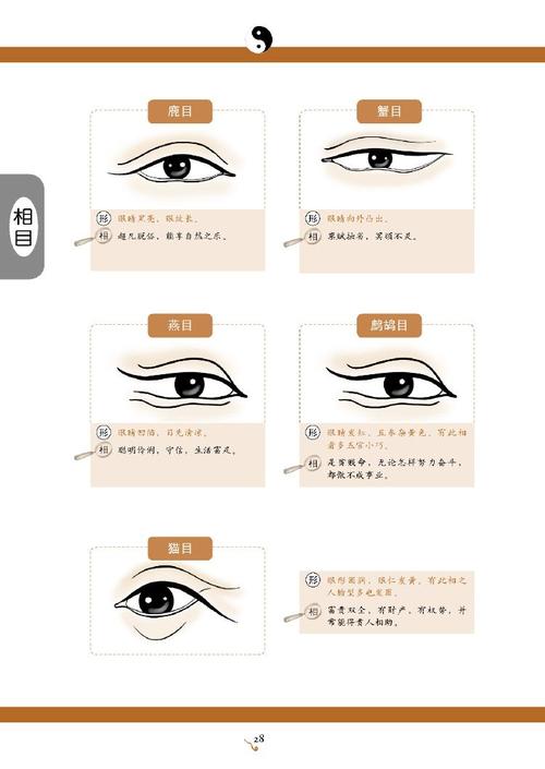 眼睛看相:什么是醉眼,面相如何?