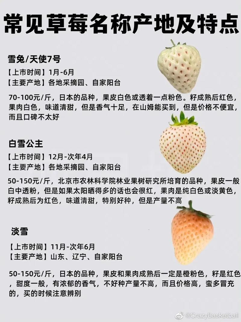 草莓好听的名字