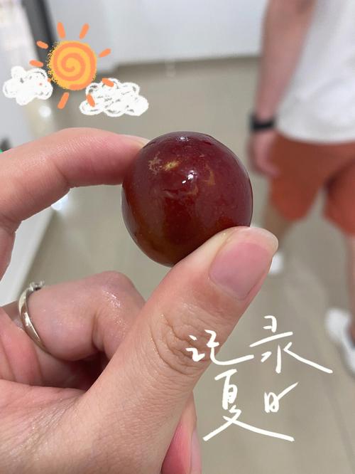 梦见李子树是什么意思
