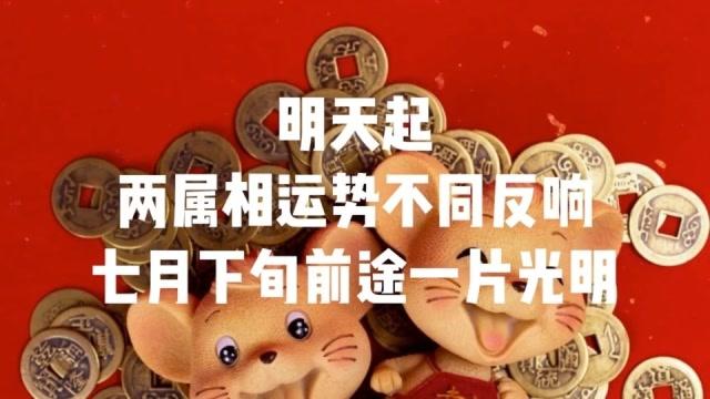 7月开始前途光明