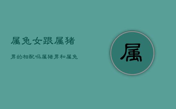 男属猪女属兔婚姻状况
