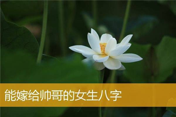 什么八字的女人能嫁帅哥