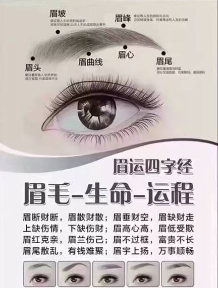 眉毛的形状看你未来运势