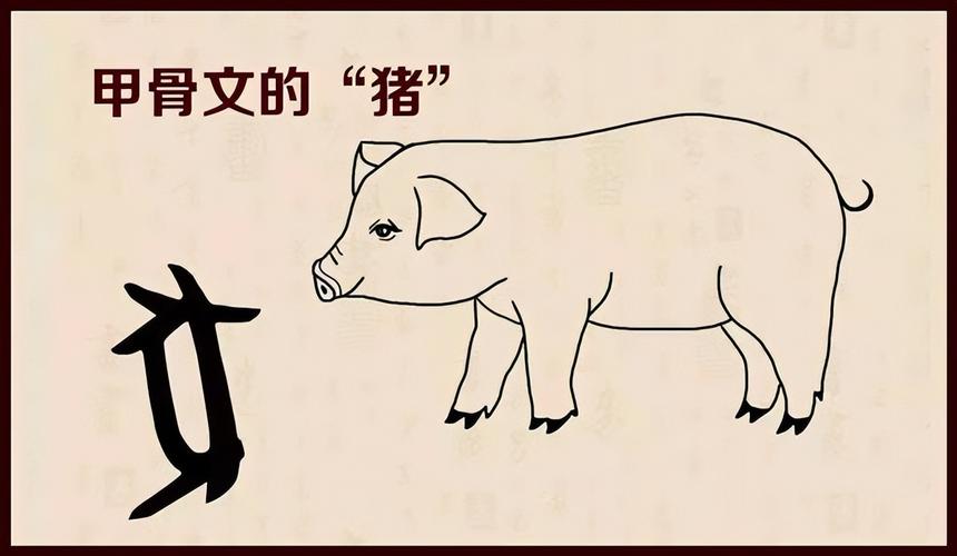 肉字代表什么生肖