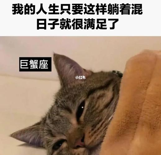 巨蟹座心中理想的生活是哪种