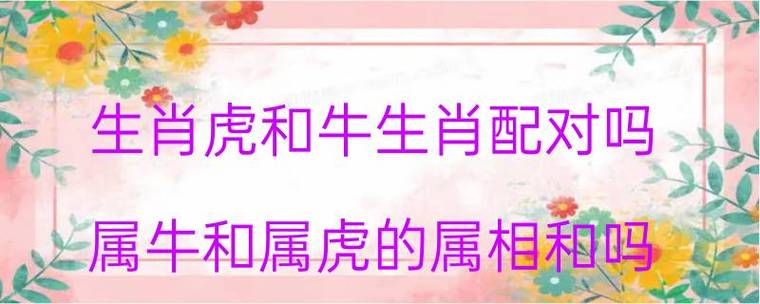 男虎女牛婚姻怎么样？属虎十二月出生好吗？