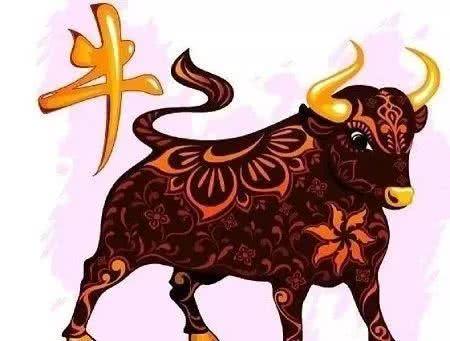 牛命人今生今世的宿命是什么