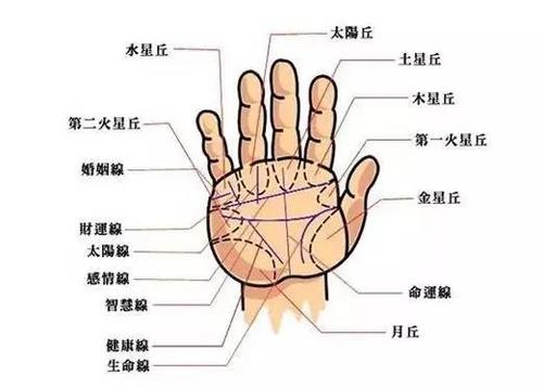 男默女泪 穷人手相的9个标志