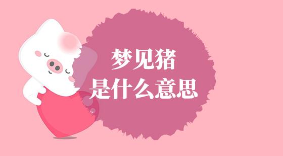 梦见新生小猪