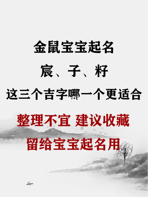 籽字取名的寓意是什么女孩