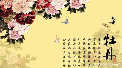 这几个星座 桃花绽放 正缘悄悄靠近 拥抱爱情