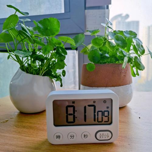 植物风水 阳台种铜钱草好吗