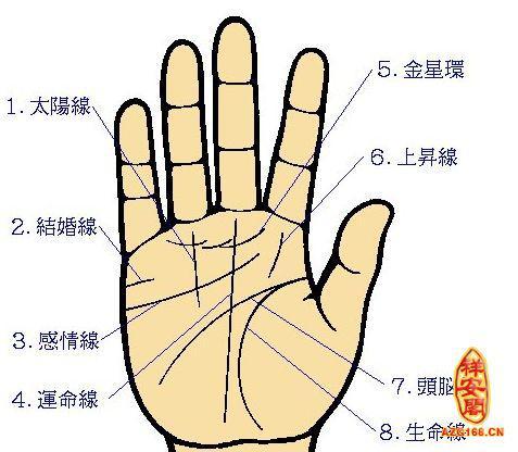 学看手相图解:50岁以后大器晚成的手相