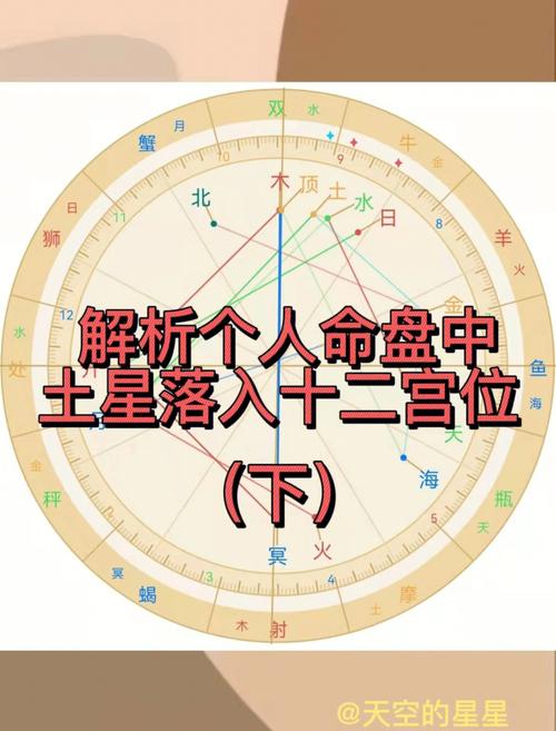 专业星座排盘,星座命盘中的十二宫代表的是什么?