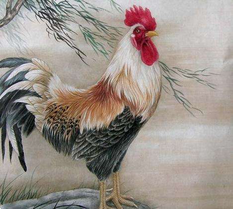 81年生肖属鸡42岁桃花运