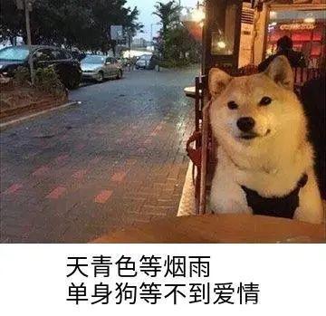 大悲剧!和这些星座男谈恋爱依然酷似单身狗