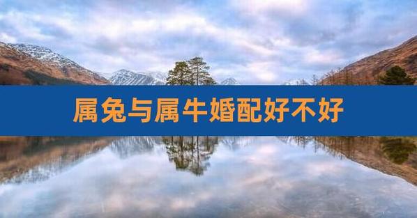 属牛女和属兔男结婚好吗