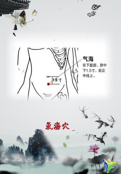 气海穴的准确位置图:丹田位置