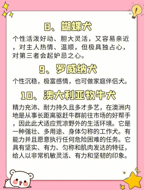 双子男是什么品种的狗?