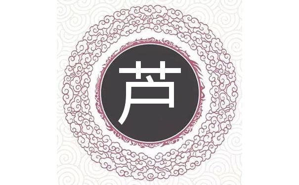 芦姓新生婴儿女孩起名字