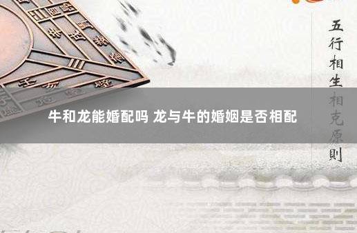 为什么牛和龙婚配会穷一辈子呢