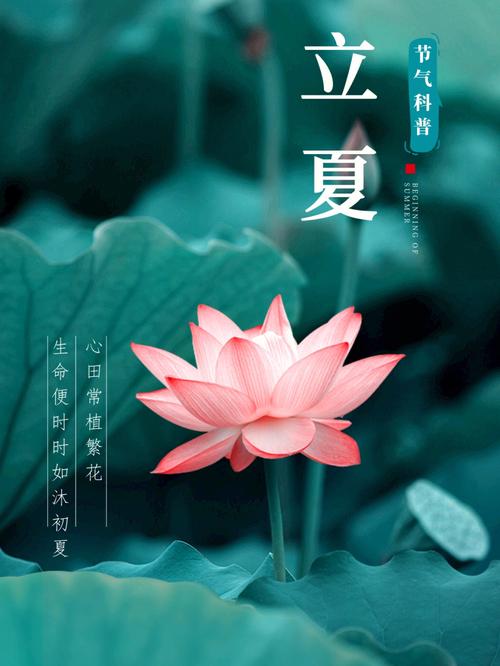 不同年份立夏节气出生的属牛人命运如何?立夏节气的特点