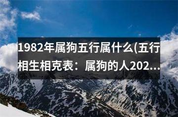属狗2022年11月健康运程