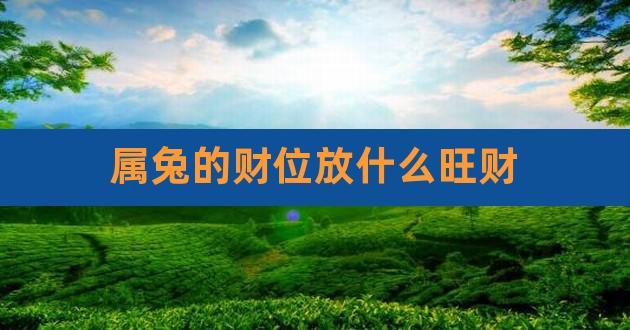 属兔最旺财的年龄段