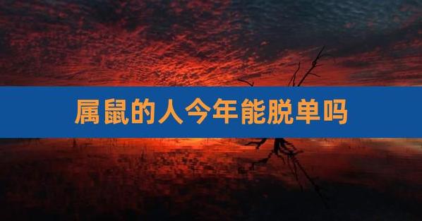 属鼠人2021年10月容易脱单吗