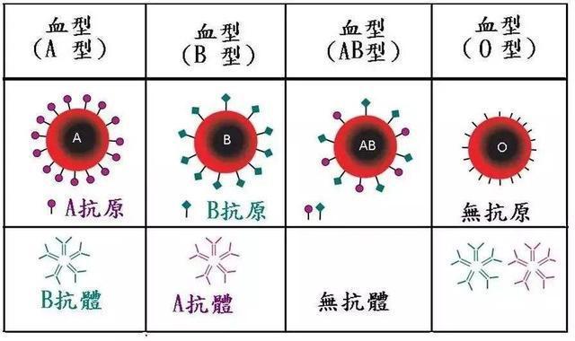 揭秘各血型情侣的恋爱秘籍之O型配B型