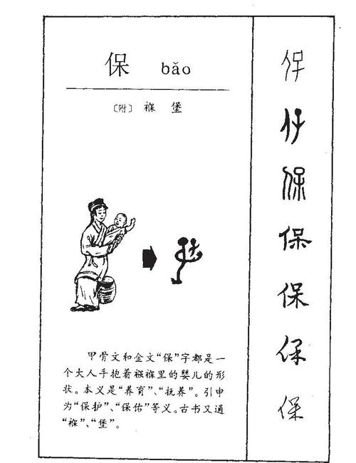 保字的五行属什么