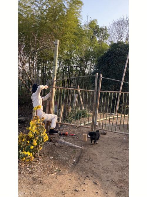 住宅大门旁种竹子好不好