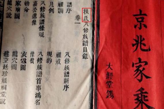 历史中有名人姓扶吗