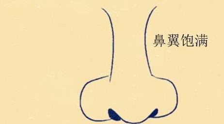 面相分析:几种发财鼻你有吗