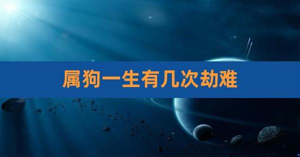 属狗的一生有几次劫难