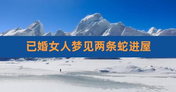 已婚女人梦见两条蛇