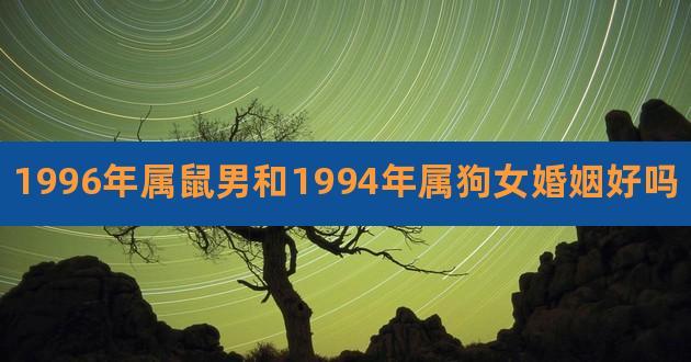 属鼠和属狗缘分深吗