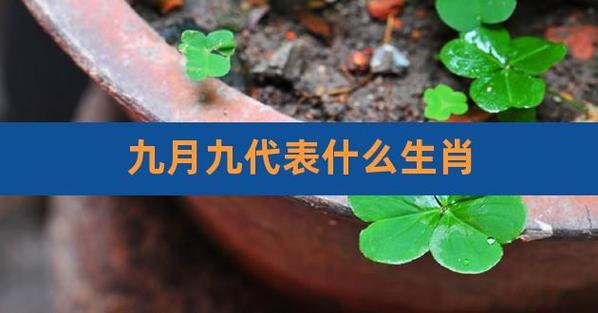 九月九日指什么生肖