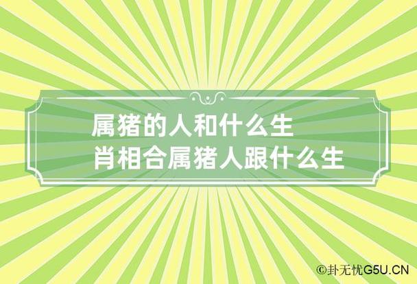属猪的人和什么生肖的人不合