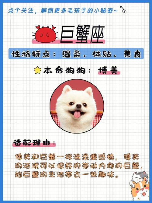 属狗白羊男生的爱情观如何