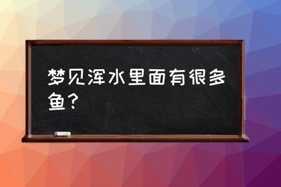 梦见浑水有鱼