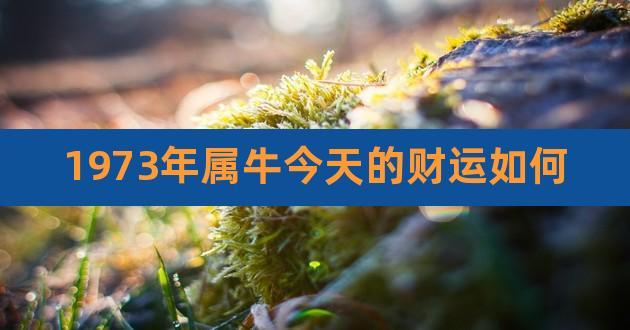1973属牛2021运势