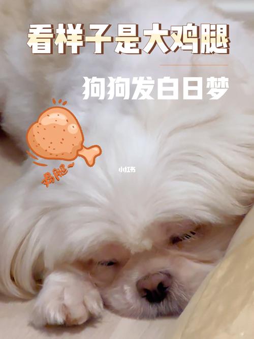 梦见狗得病是什么意思