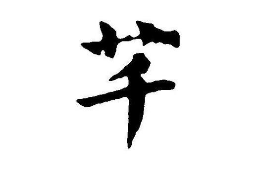 女孩取名杨什么芊最好