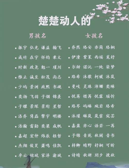 男孩起名袁辰皓怎么样