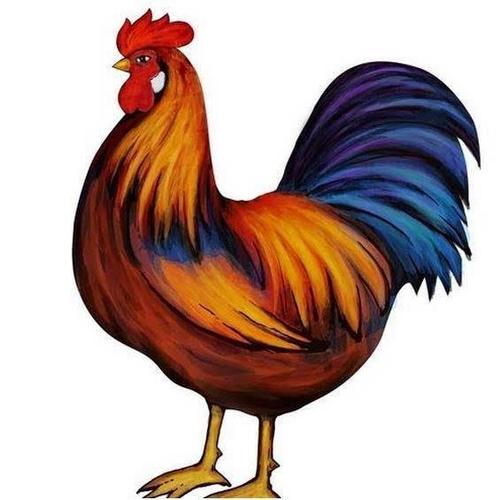 属鸡人1月什么运最佳