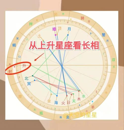 上升星座智商分析