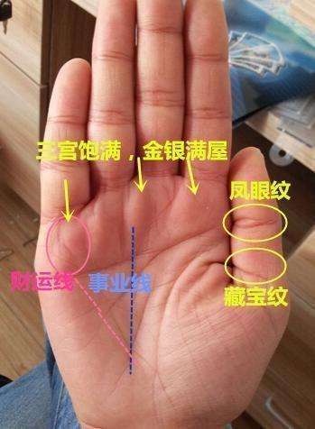十二中福贵人的手相特点