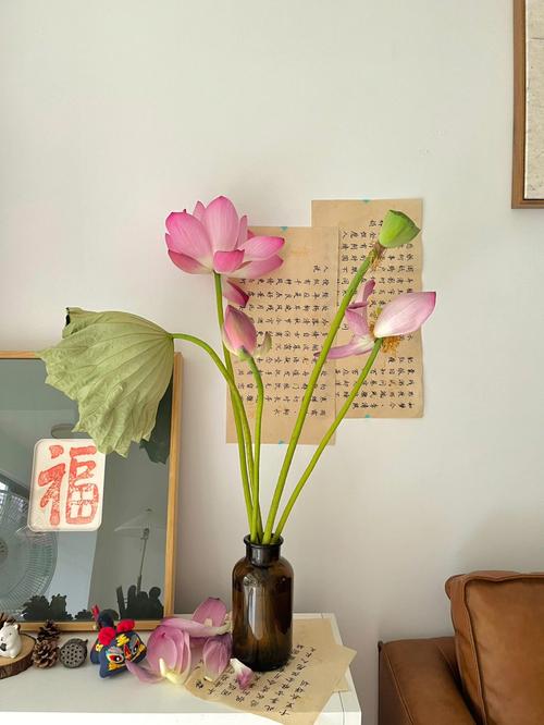 孕妇梦见一屋花